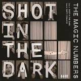 The Magic Numbers - A Shot In The Dark [vinyl Single]