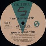 Chez Damier - Never Luv Like This