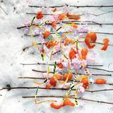 Tomutonttu - Kevätjuhla