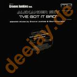 Groove Junkies - I've Got It Bad