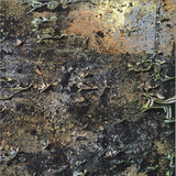 Ntel - Dilution Effect