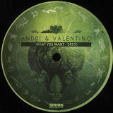 Andri & Valentino - What You Want