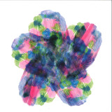 Carlita x Andhim - Life