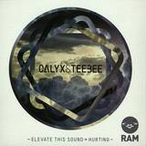 Calyx & Teebee - Elevate This Sound / Hurting