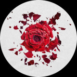 Various - June Jazzin pres. Broken Flower - Vinyl Sampler