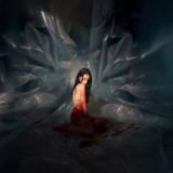 Noémi Büchi - Exuvie LP