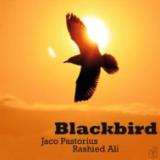Jaco Pastorius & Rashied Ali - Blackbird LP