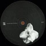Kangding Ray / Rrose - Ardent / Swallows