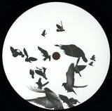 Darand Land / Jose Lau - Sound Principle 1