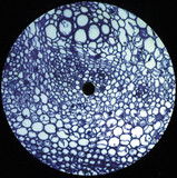 Klepzec - Took The Time