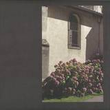 Tochigi Canopy - Collecting Things LP