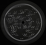 Various - The Untold Stories Chapter VI.