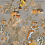 Dolphin Midwives - Liminal Garden