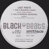 Last Poets / Timezone - This Is Madness / The Wild Sty