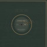 Patrick Wolf - Time Of My Life 12"