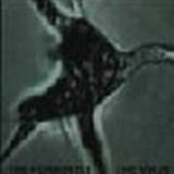 The Horrorist - The Virus