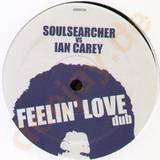 Soulsearcher Vs. Ian Carey - Feelin Love