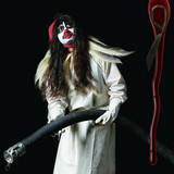 Bjork - Drawing Restraint 9