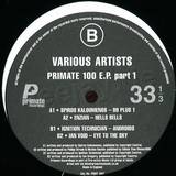 Primate - 100 *1*