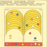 PATRICIA WOLF - SEE-THROUGH