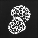 Chupacabras - Against Time LP