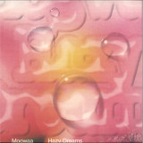 Mogwaa - Hazy Dreams LP