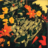 Hybrid Man - Overgrown Echos