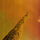 Frédéric D. Oberland/Grégory Dargent/Tony Elieh/Wassim Halal - SIHR LP