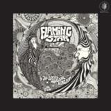 Flaming Star - In the Pipers Magical Kingdom LP