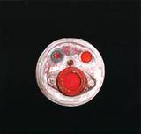 Redspecs - Absent Ep