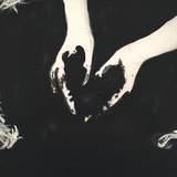 Protein - The Secret Garden