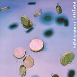 Pangaea - In Drum Play