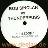 Bob Sinclar Vs. Thunderpuss - Freedom
