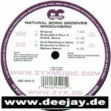 Natural Born Grooves - Groovebird