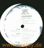 Cannabis - Smoke Tribe