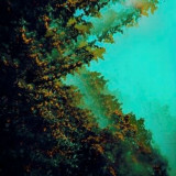 Polymoon - Caterpillars of Creation