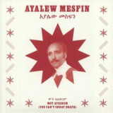 AYALEW MESFIN - MOT AYKERIM