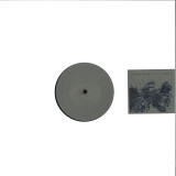 Vladislav Delay - Recovery Idea