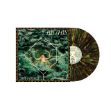 BALTHVS - Cause & Effect LP