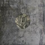 Hitam - Vesturgata Gaze