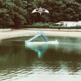 The Bird Experience - The Bird Experience