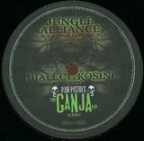 Dialect, Kosine & Dub Pistols Ft. Rodney P - Dialect & Kosine Meets The Dub Pistols