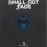 ODF - The Rhythm Grooves