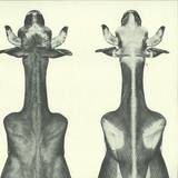 Blackest Ever Black - Moin - Ep