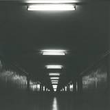 Vinalog - Perspectives