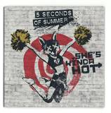 5 Seconds Of Summer - She's Kinda Hot