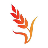 Boothroyd - Pure Country