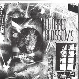 Cyrnai - Charred Blossoms