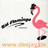 Kid Flamingo - Big Head