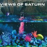 Ras G / Sun Ra - Views Of Saturn #1